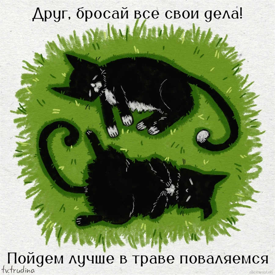 Открытка к дню валяние на траве