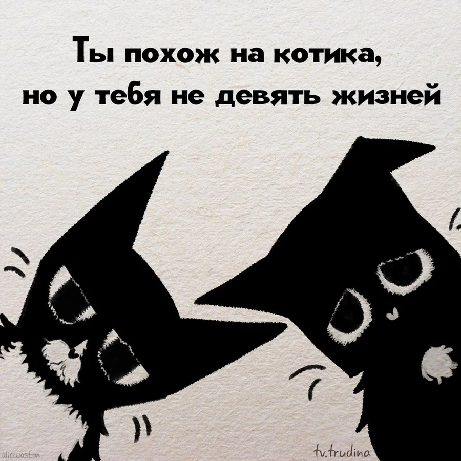 Открытка к дню девяти жизней